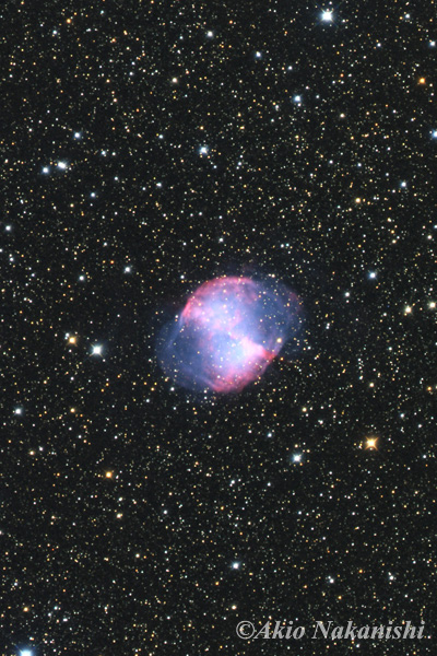 惑星状星雲　こぎつね座のアレイ状星雲・M27