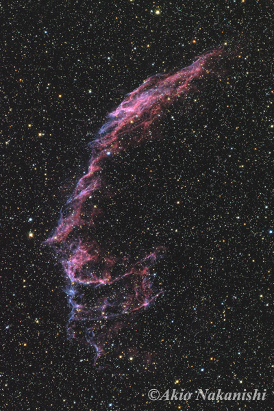 超新星残骸　はくちょう座の網状星雲